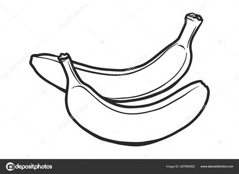 Bananas black and color gradient outline illustrations set Stock Vector Image by ©jkazanceva ...