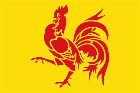Flag of Wallonia : vexillology