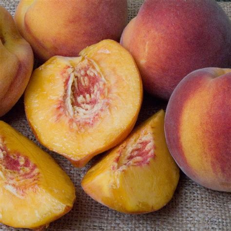 Redhaven Peach Tree (Semi-dwarf) | Peach trees, Peach, Growing fruit