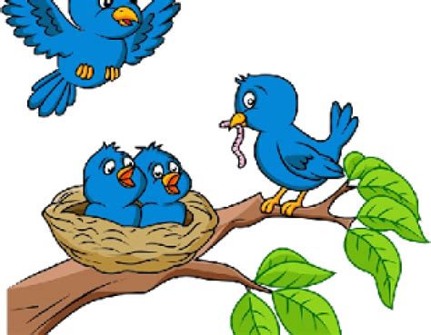 Download Cartoon Picture Birds In Nests Clipart (#457087) - PinClipart