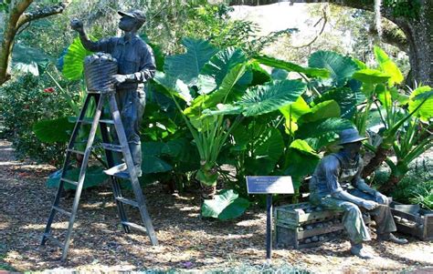 Explore Leu Gardens In Orlando