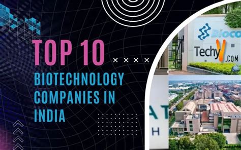 Top 10 Biotechnology Companies In India - Techyv.com