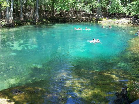 Why I Love Florida, Reason #4: 900 Hidden Springs - Diane Capri ...