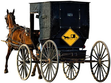 Download Buggy, Horse, Amish. Royalty-Free Stock Illustration Image ...