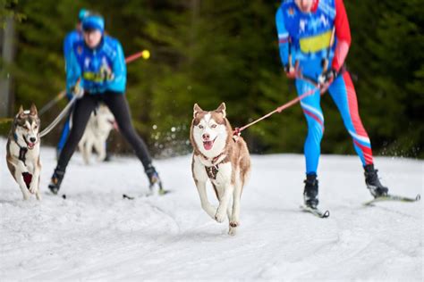 10 Unique Winter Sports You Can Find In Canada