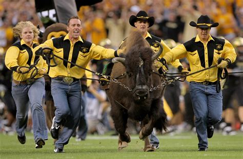 Retired CU mascot, Ralphie IV, passes away at 19 | cbs8.com