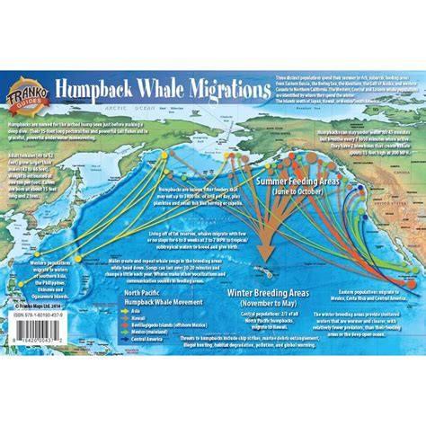 Franko Maps Pacific Humpback Whale Migration Guide 6 X 9 Inch | Humpback whale migration, Whale ...