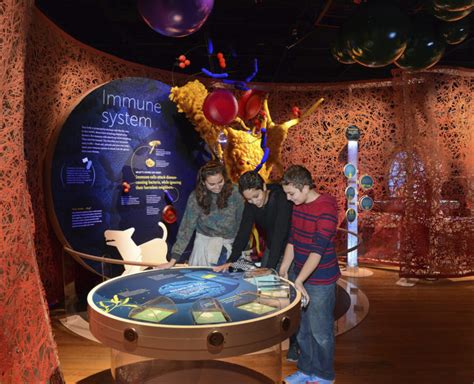 New Fernbank Museum Exhibit: The Secret World Inside You