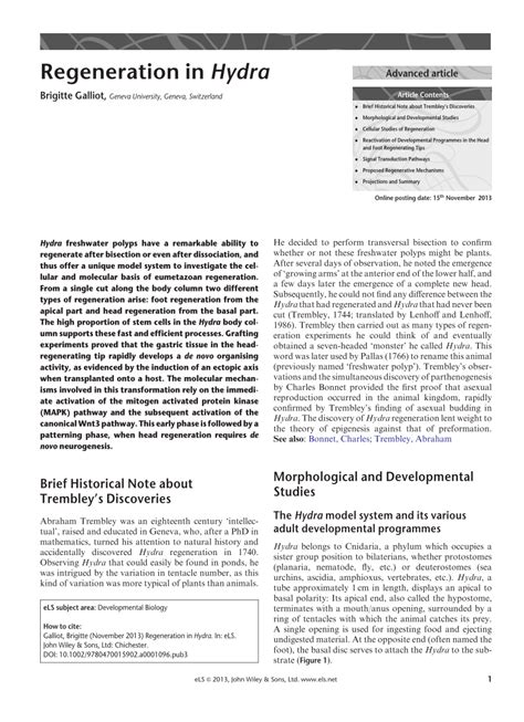 (PDF) Regeneration in Hydra