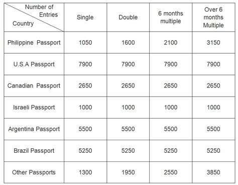 Requirements for China Visa Application_CONSULATE-GENERAL OF THE PEOPLE ...