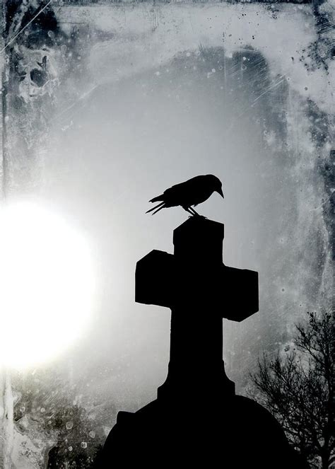 Silhouette Of A Gothic Crow Photograph by Gothicrow Images | Fine Art America