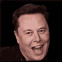 View Elon Musk Meme Gif Pics Best Design Image - vrogue.co