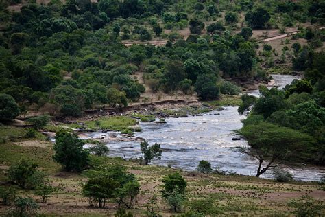 Saving the Mara River | WWF Kenya