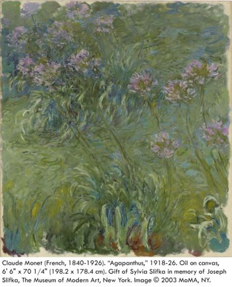 Monet Water Lilies Moma