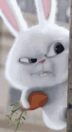 Angry Bunny GIFs | Tenor