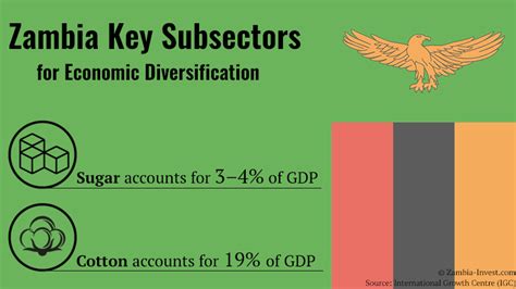 Sugar, Cotton and Coffee Key to Zambia Economy Diversification ...