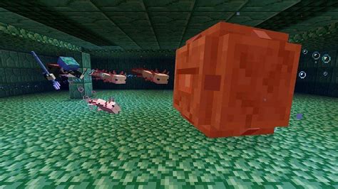 How to get a Minecraft axolotl to give you regeneration