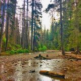 Photos of Morrell Falls National Recreation Trail - Montana | AllTrails