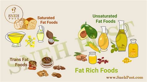 Fat: Superbly Effectual Nutrition Guide