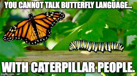 Butterfies VS Caterpillars - Imgflip