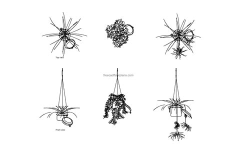 Potted Hanging Plant, AutoCAD Block - Free Cad Floor Plans