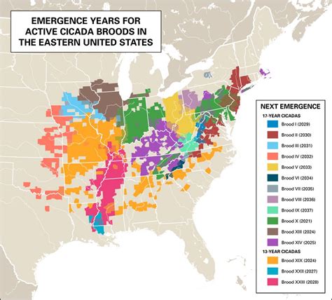 map of emergence years for cicada broods in the eastern United States ...