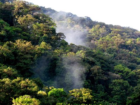 Photos of Tenorio Volcano & Celeste Waterfall, Costa Rica