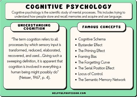 19 Top Cognitive Psychology Theories (Explained)