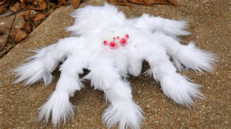 12 Most Strange Spiders in the World | Australia animals scary, Albino animals, Scary animals