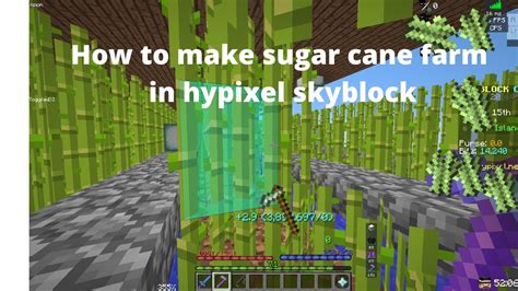 How to make a Sugar Cane Farm | Hypixel Skyblock - YouTube