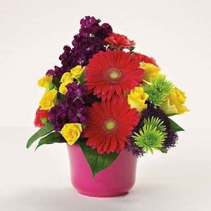 Dalton Florist - Fosters Flowers