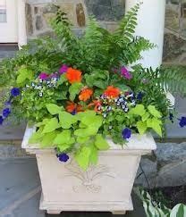 container flowers Container Flowers, Flower Planters, Container Plants, Garden Planters ...