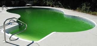 How To Clear Up And Clean A Green Swimming Pool