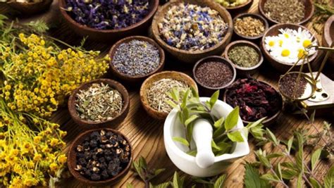 10 Ayurvedic Medicine Herbs And Their Benefits