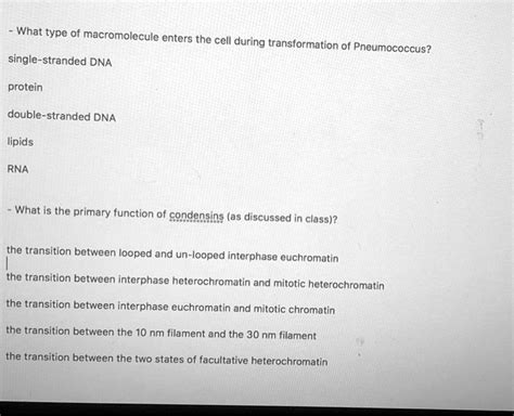 SOLVED: What type of macromolecule enters the cell during transformation of Pneumococcus? single ...