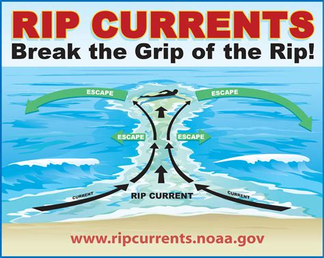 Beach hazard statement issued for possible rip currents across Lake ...