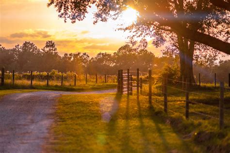 Southern Sunset | Outdoor Photography