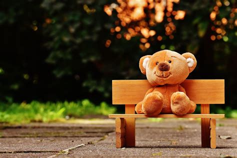 Brown Teddy Bear on Brown Wooden Bench Outside · Free Stock Photo