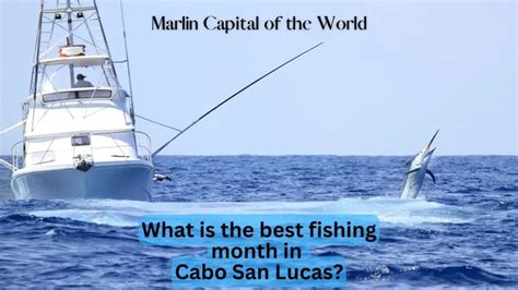 What Is the Best Fishing Month in Cabo San Lucas? | InfoVacay