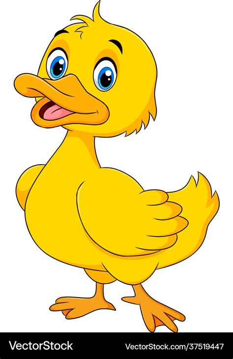 Duck cartoon Royalty Free Vector Image - VectorStock