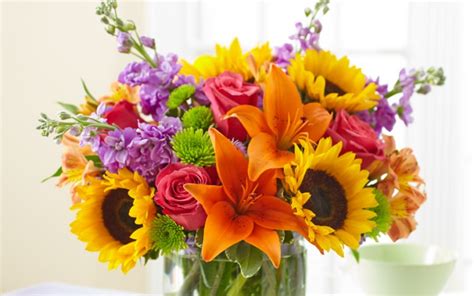 National Friendship Day Flowers that Symbolize Friendship | Petal Talk