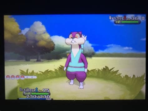 [6] Shiny Watchog appears at only a 10 radar chain! (Without the fast music) : r/ShinyPokemon