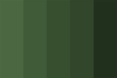 Forest Green Color Palette | Forest green paint color, Green color pallete, Green palette