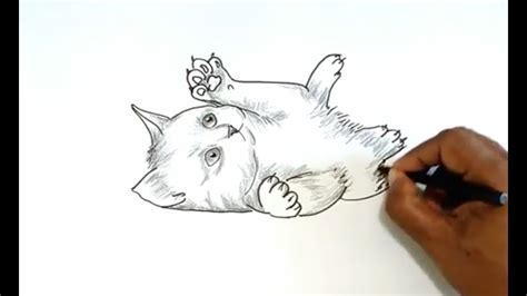 How To Draw A Realistic Kitten Step By Step