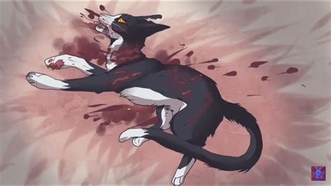 Swiftpaw | Warrior cats fan art, Warrior cats art, Warrior cat drawings