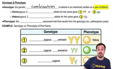 Free genotype phenotype worksheet, Download Free genotype phenotype worksheet png images, Free ...