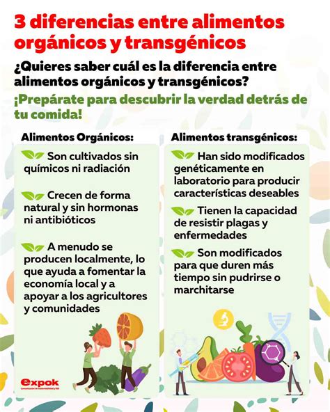 3 diferencias entre alimentos orgánicos y transgénicos - ExpokNews