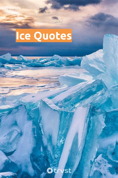 36 Ice Quotes That Remind Us To Protect Our Environments Diversity ...