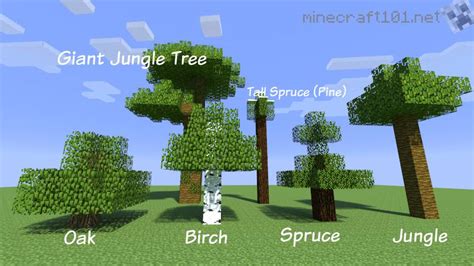 Farming Trees | Minecraft 101