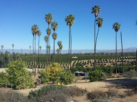 California Citrus State Historic Park: An Awesome Free Activity In ...